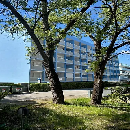 Bright Near The In Apartment *